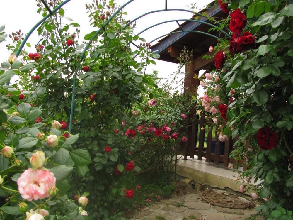 Bed and breakfast D'hotes Gelous Bidache